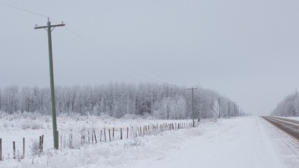Power lines running along road in Alberta Prairies