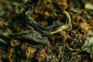 green tea dried closeup