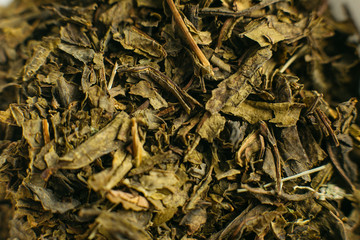 green tea dried closeup