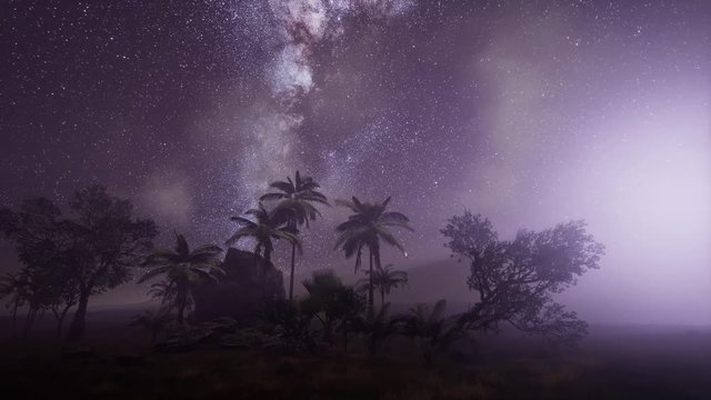 4K Astro of Milky Way Galaxy over Tropical Rainforest. Elements of this image furnished by NASA