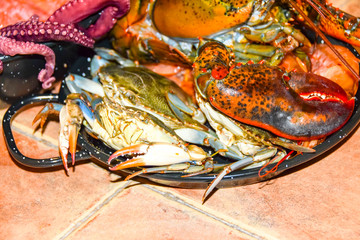 lots of raw seafood octopus  shrimp in a frying pan cooking