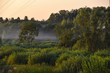 landscape sunset sun evening haze forest nature field panorama 
