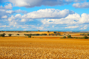 Fototapeta na wymiar Landscape field hill Spain
