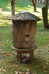 Fototapeta premium Very old, historical empty beehive in the garden. Traditional beehive from old times, made of solid wood on the natural green grass background and trees