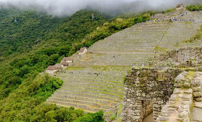 Rainy day in Macchu Picchu, Peru