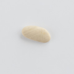 Sea pebble on a white background