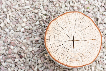 Tree rings old weathered wood texture with the cross section of a cut log. An example of how a tree grows. Great for sustainability, lifetime, growth, development and long business concepts. 