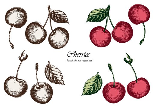 Set of red cherries with leaves. Hand drawn vector illustration. Isolated elements for design.