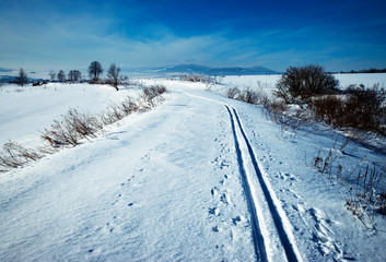 Fototapeta na wymiar sunny winter landscape with a cross country trail
