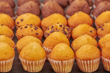 delicious mini chocolate flavor muffins for breakfast