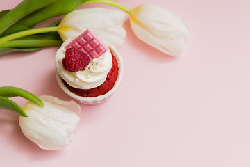 Fototapeta na wymiar cupcake and tulips on pink background.copy spase.Delicious cake