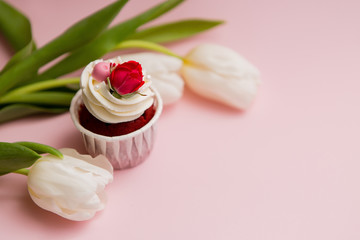 cupcake and tulips on pink background.copy spase.Delicious cake