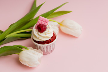 cupcake and tulips on pink background.copy spase.Delicious cake