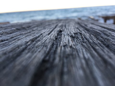 Madera Puerto Madryn playa