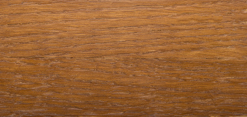 Wood texture. Wood texture for design and decoration