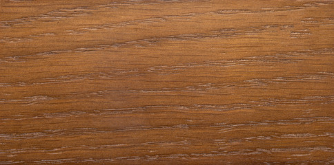 Wood texture. Wood texture for design and decoration