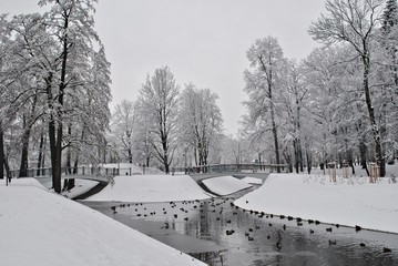 Park miejski w zimie