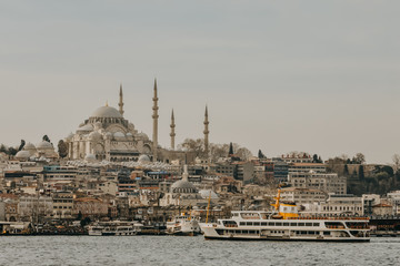 Fototapeta na wymiar blue mosque in istanbul turkey