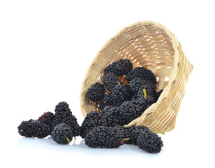 Morus (mulberry) in wooden basket on white background
