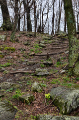 Trail leading to Little Stony Man mountain overlook in Shenandoah National Park along Skyline Drive in Virginia on a spring day
