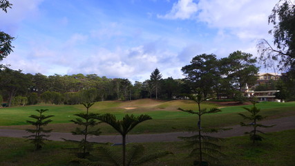 Fototapeta premium golf course on a sunny day