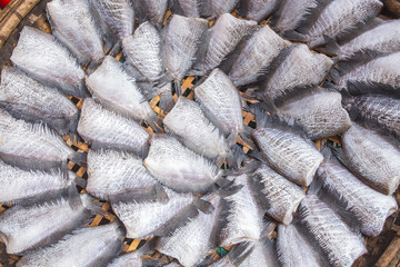 Dried Trichogaster pectoralis fish arranged in rows Thailand market