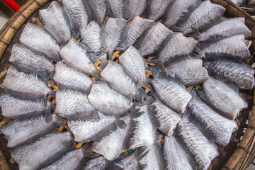 Dried Trichogaster pectoralis fish arranged in rows Thailand market