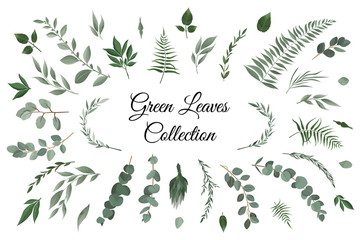 Vector designer elements set collection of greeng leaves herbs in watercolor style.