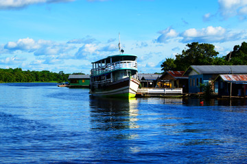 Fototapeta premium Manaus, Amazonas, Brazil. Rio Negro river and its beauties that enchant to all visitors. Amazonia, the living nature.