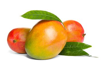 Delicious ripe mangoes on white background. Tropical fruit