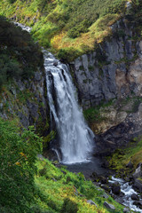 Fototapeta na wymiar Cascade of mountain waterfall, high-mountain vegetation - green trees and bushes