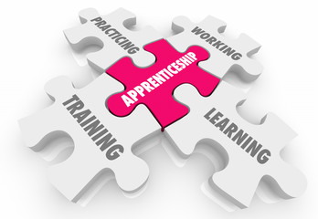 Apprenticeship On the Job Training Learning Puzzle Pieces Words 3d Illustration
