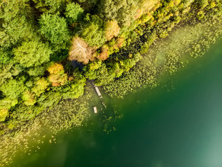 Aerial top down view of beautiful green waters of lake Gela. Birds eye view of scenic emerald lake surrounded by pine forests.