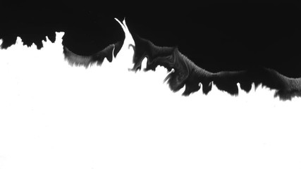 Ink Bloom on white Ink bleed Bloom.