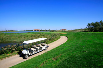 golf course landscape and battery cart