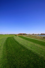 golf course landscape