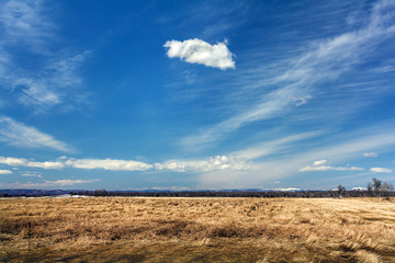 Spring landscape. Field with last year's yellow grass and beautiful clouds. Trees at the background.