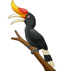 Cartoon hornbill bird isolated on white background © tigatelu