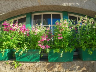 Vintage window with flowers