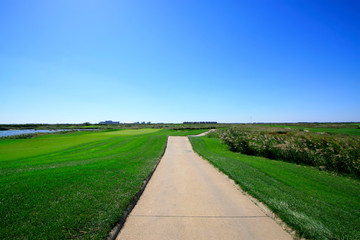 Fototapeta na wymiar Golf courses and road vegetation