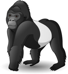 Cartoon funny gorilla