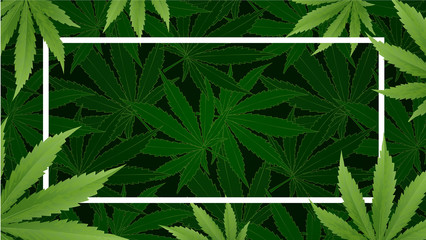 Marijuana plant and cannabis on green backgrounds.