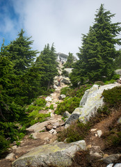 Trail to Fire Look out in the Mountains