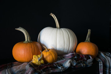 pumpkins and gourds on black background