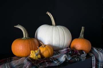pumpkins and gourds on black background