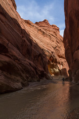 Fototapeta na wymiar A lone hiker treks through the waters of Paria Canyon.