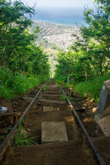 railway in forest