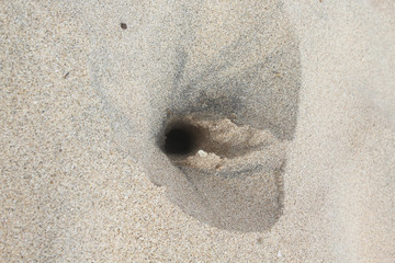 Hole on the Beach