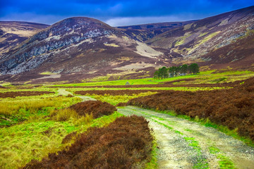 Glen Mark and Queen's Well. Angus, Scotland, UK. Cairngorms National Park.