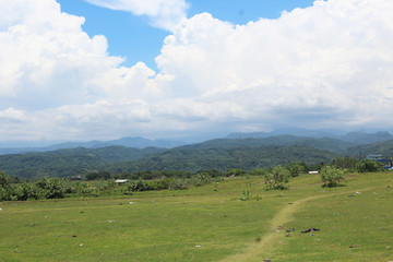 landscape in the mountains